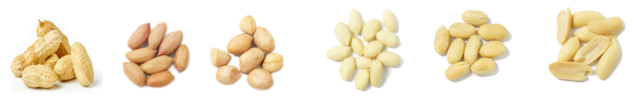 花生.png 花生.png